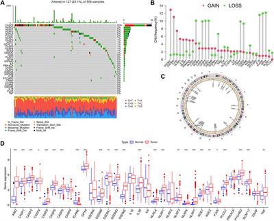 Pyroptosis-Related Signature and Tumor Microenvironment Infiltration Characterization in Head and Neck Squamous Cell Carcinoma